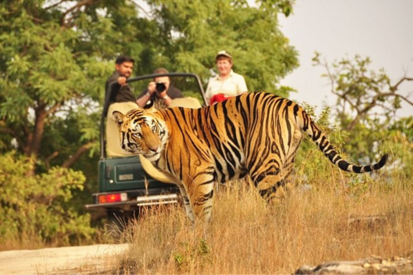 taj-mahal-day-tour-by-car